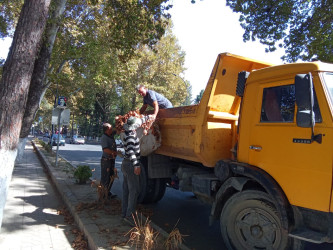 Ağdaş Rayon İcra Hakimiyyəti şəhər ərazisində təmizlik və abalıq işlərinə start vermişdir.