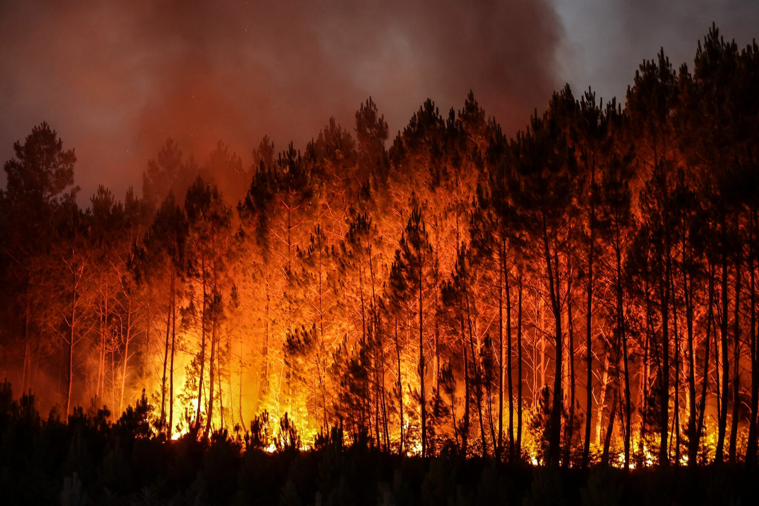 wildfire_thibaud-mortiz-afp-getty-scaled.jpg