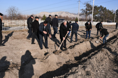 Ağdaşda şəhid ailələri üzvlərinin iştirakı ilə ağacəkmə aksiyası keçirilib