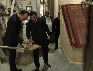 Ağdaş Rayon İcra Hakimiyyətinin başçısı rayondakı Yem Emalı Fabrikində görülən işlərlə tanış olub