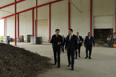 Ağdaş Rayon İcra Hakimiyyətinin başçısı Biyan Sənaye Parkında istehsal  prosesi ilə tanış olub