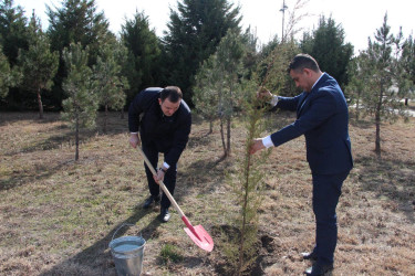 Xocalı soyqırımının 33-cü ildönümü ilə əlaqədar  Ağdaşda bir sıra tədbirlər keçirilib