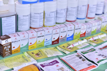 Ağdaşda Aqrar Biznes Festivalı keçirilib