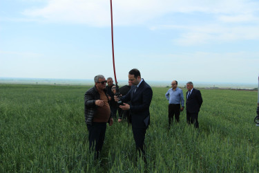 Ağdaş Rayon İcra Hakimiyyətinin başçısı fermer təsərrüfatında görülən işlərlə tanış olub