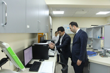Ağdaş Rayon İcra Hakimiyyətinin başçısı rayondakı Yem Emalı Fabrikində görülən işlərlə tanış olub