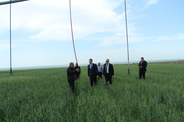 Ağdaş Rayon İcra Hakimiyyətinin başçısı fermer təsərrüfatında görülən işlərlə tanış olub