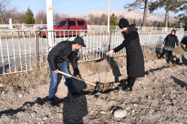 Ağdaşda şəhid ailələri üzvlərinin iştirakı ilə ağacəkmə aksiyası keçirilib