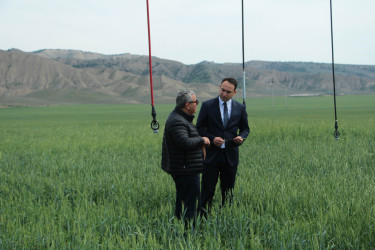 Ağdaş Rayon İcra Hakimiyyətinin başçısı fermer təsərrüfatında görülən işlərlə tanış olub