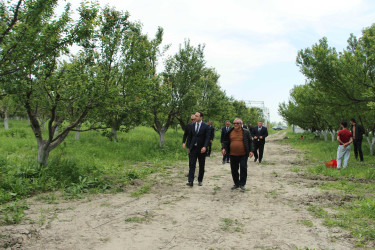 Ağdaş Rayon İcra Hakimiyyətinin başçısı fermer təsərrüfatında görülən işlərlə tanış olub