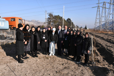 Ağdaşda şəhid ailələri üzvlərinin iştirakı ilə ağacəkmə aksiyası keçirilib