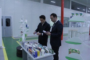 Ağdaş Rayon İcra Hakimiyyətinin başçısı Biyan Sənaye Parkında istehsal  prosesi ilə tanış olub