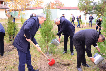 Ağdaşda Yeni Azərbaycan Partiyasının yaranmasının 32-ci ildönümü qeyd olunub