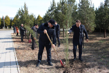 Xocalı soyqırımının 33-cü ildönümü ilə əlaqədar  Ağdaşda bir sıra tədbirlər keçirilib