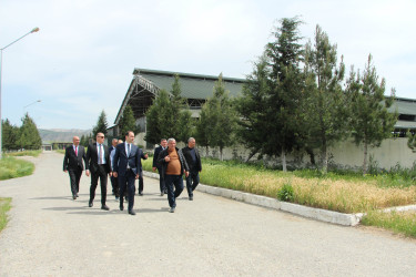 Ağdaş Rayon İcra Hakimiyyətinin başçısı fermer təsərrüfatında görülən işlərlə tanış olub